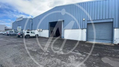 /international/gp/baie-mahault-basse-terre-310098872089/