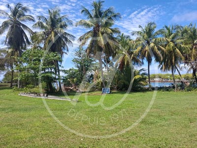 /international/gp/le-gosier-pointe-a-pitre-310107149993/