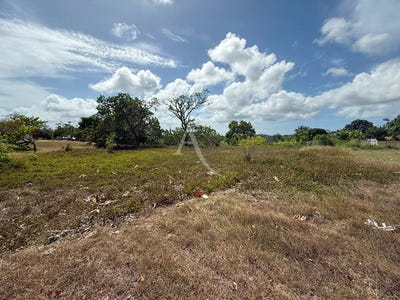 /international/gp/sainte-anne-pointe-a-pitre-310108895629/