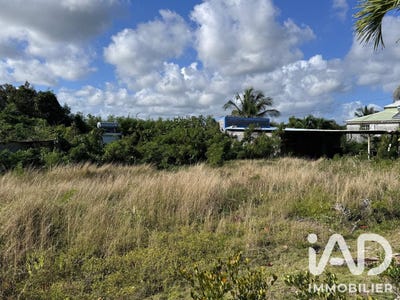 /international/gp/petit-canal-grande-terre-310108891683/