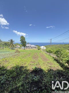 /international/gp/vieux-habitants-basse-terre-310106404156/
