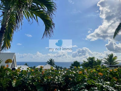 /international/gp/le-moule-pointe-a-pitre-310105899455/