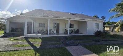 /international/gp/le-moule-pointe-a-pitre-310108260898/