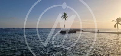 /international/gp/sainte-anne-pointe-a-pitre-310107252170/