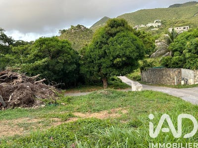 /international/gp/saint-martin-saint-martin-310106591275/