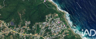 /international/gp/le-moule-pointe-a-pitre-310108428321/
