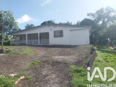 /international/gp/baie-mahault-basse-terre-310106792745/