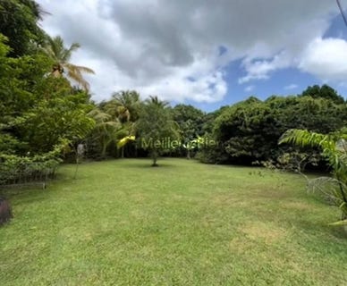 /international/gp/baie-mahault-basse-terre-310108486919/