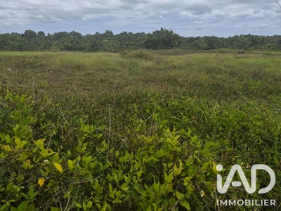 /international/gp/baie-mahault-basse-terre-310109122858/