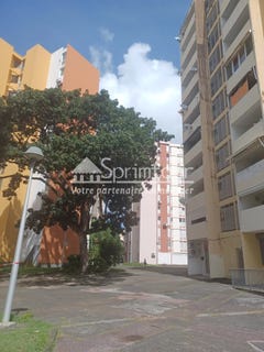 /international/gp/pointe-a-pitre-pointe-a-pitre-310102749216/
