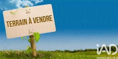 /international/gp/morne-a-l-eau-pointe-a-pitre-310108511300/