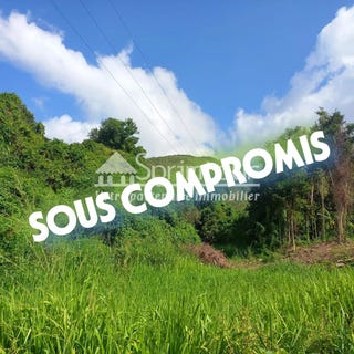 /international/gp/vieux-habitants-basse-terre-120088744424/?lang=zh-tw