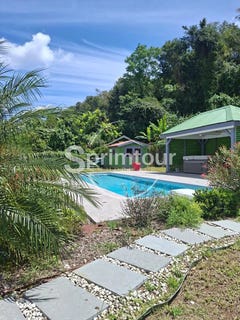 /international/gp/pointe-noire-basse-terre-310106288846/