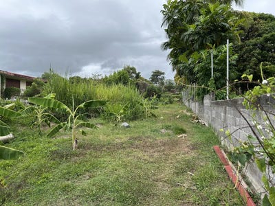/international/gp/rue-de-doyon-capesterre-belle-eau-basse-terre-310108117832/