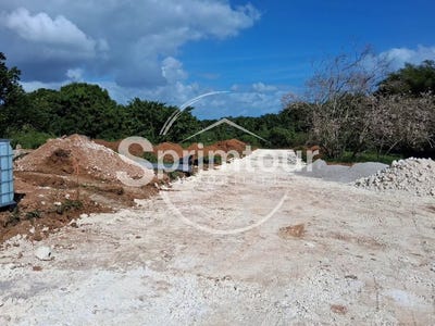 /international/gp/baie-mahault-basse-terre-310106939033/