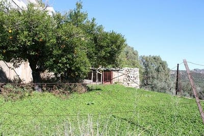 /international/gr/agios-nikolaos-thessaly-central-greece-310103787780/
