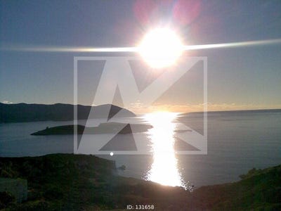 /international/gr/psathi-aegean-310108866036/
