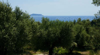 /international/gr/kamaria-peloponnese-western-greece-and-ionian-310107839696/