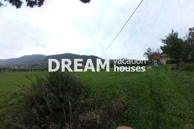 /international/gr/agios-dimitros-peloponnese-western-greece-and-ionian-310101036246/