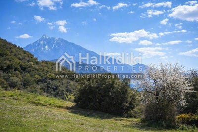 /international/gr/megali-panagia-macedonia-thrace-310108870421/
