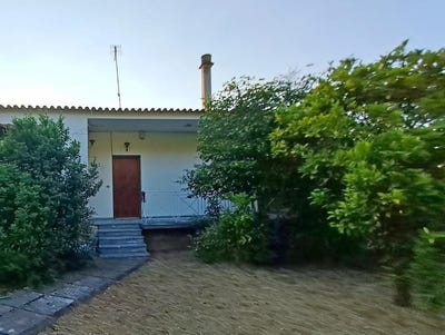 /international/gr/pili-thessaly-central-greece-310106290449/