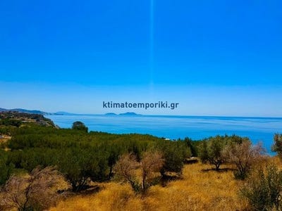 /international/gr/crete-crete-310103139771/