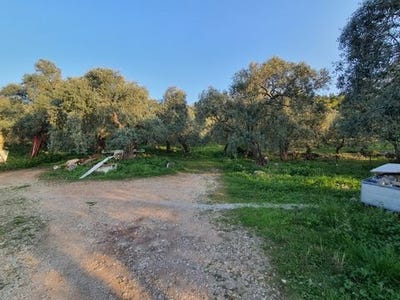 /international/gr/thasos-makedonia-thrace-120094752582/