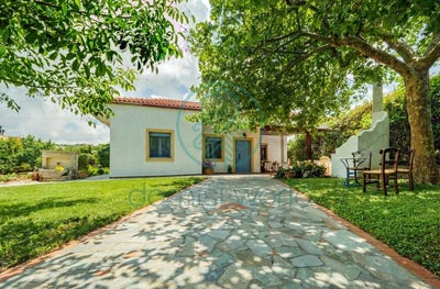 /international/gr/kounavoi-crete-310108318333/