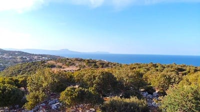 /international/gr/gerani-crete-310106626823/