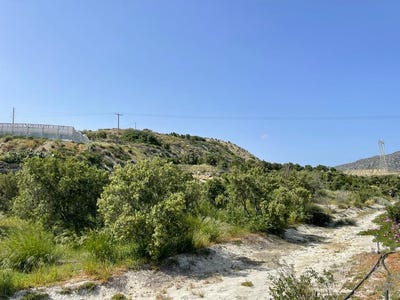 /international/gr/ferma-crete-310099891224/