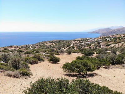 /international/gr/agia-paraskevi-crete-310104250458/
