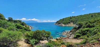 /international/gr/sarti-macedonia-thrace-310108007996/