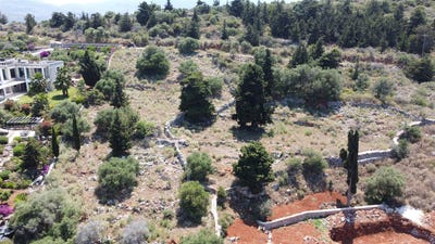 /international/gr/mamouniara-crete-310105431795/