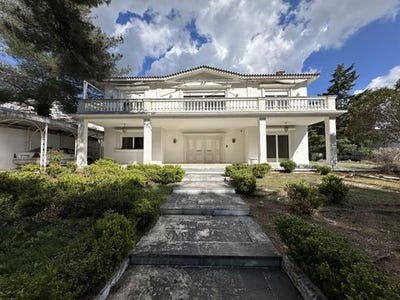 /international/gr/oreokastro-macedonia-thrace-310103789187/