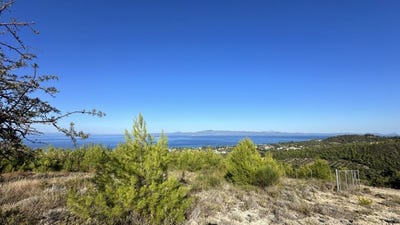 /international/gr/lefkes-aegean-310108276820/
