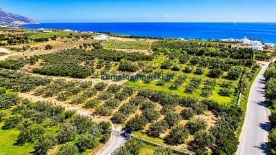 /international/gr/kissamos-crete-310108648519/