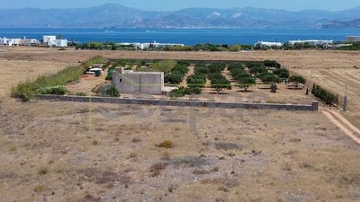 /international/gr/isterni-aegean-310107025309/