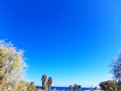 /international/gr/tripitos-crete-310102462646/