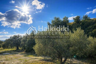 /international/gr/kassandra-macedonia-thrace-310108870681/