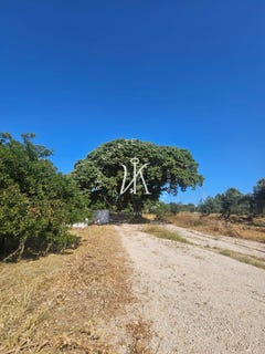 /international/gr/sgourou-aegean-310107773633/