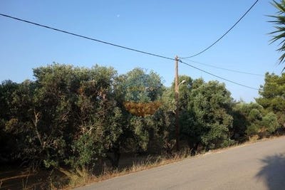 /international/gr/lakithra-peloponnese-western-greece-and-ionian-310101379662/?lang=en