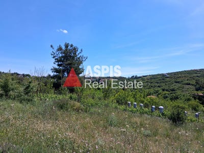 /international/gr/asvestochori-macedonia-thrace-310099749886/