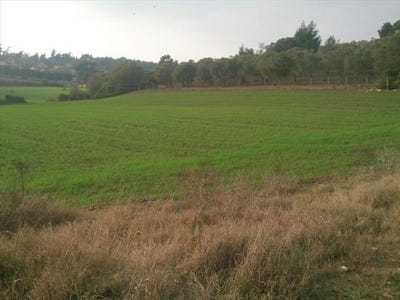 /international/gr/kassandra-macedonia-thrace-310103788671/