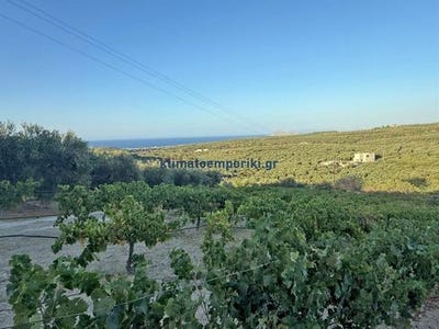 /international/gr/platania-crete-310101998133/