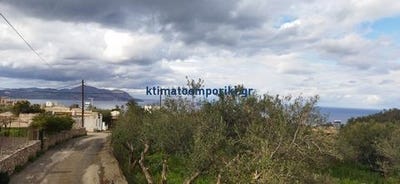 /international/gr/athens-attica-310103730710/