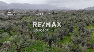 /international/gr/agios-kirikos-peloponnese-western-greece-and-ionian-310099357640/?lang=fr