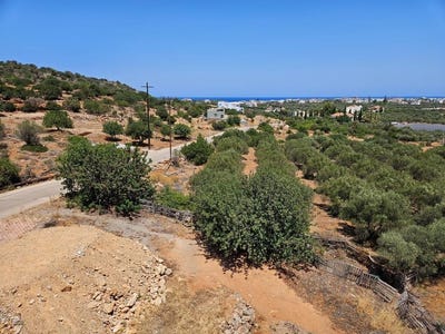 /international/gr/sisi-crete-310101110632/?lang=zh-tw