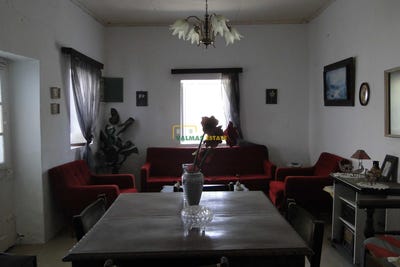 /international/gr/koureli-aegean-120094329769/