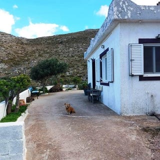 /international/gr/stavromenos-crete-310109800467/