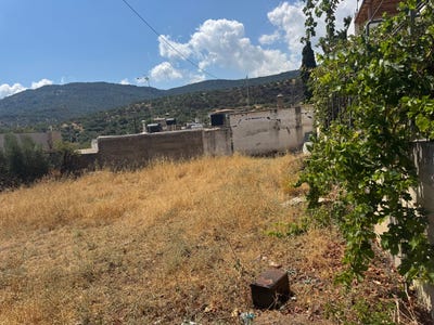 /international/gr/kritsa-crete-310119975642/